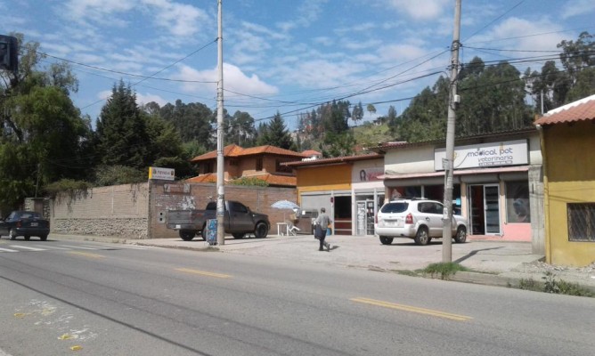 LOCAL COMERCIAL PANAMERICANA Sector Cuartel Davalos